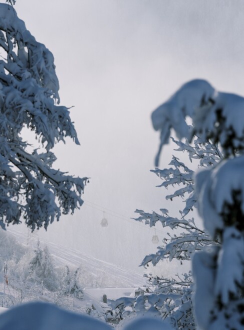 Winterurlaub in Österreich – Chaletdorf BERGHERZ mit 11 Luxus-Chalets zum Mieten direkt im Skigebiet Ski amadé - traumhafte Pisten