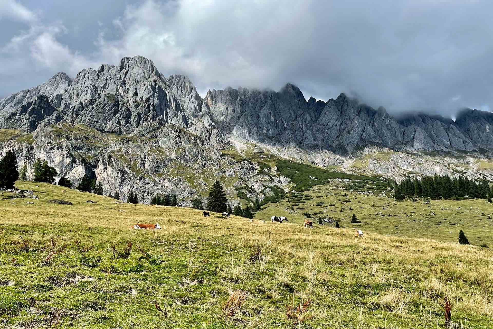 Wanderurlaub Österreich – einzigartige Berge und Seen im Salzburger Land